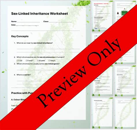 X Linked Sex Linked Inheritance Worksheet Answer Key Colour Blindness Etc