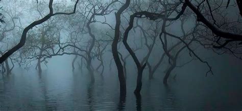 Джон Стейнбек "К востоку от Эдема" – Telegraph