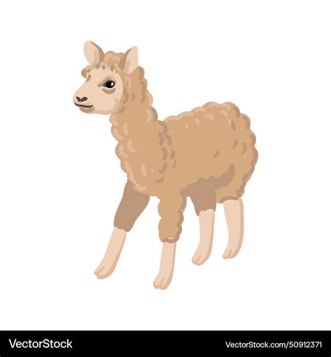 Drawing llama Royalty Free Vector Image - VectorStock