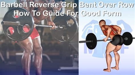 Barbell Reverse Grip Bent Over Row: How To Guide For Good Form