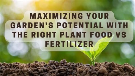 🧪fertilizer Vs Plant Food What S The Difference And Which One Is Right For Your Plants