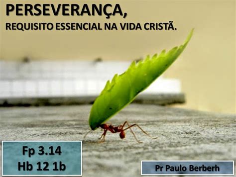 PERSEVERANÇA Requisito Essencial Na Vida Cristã