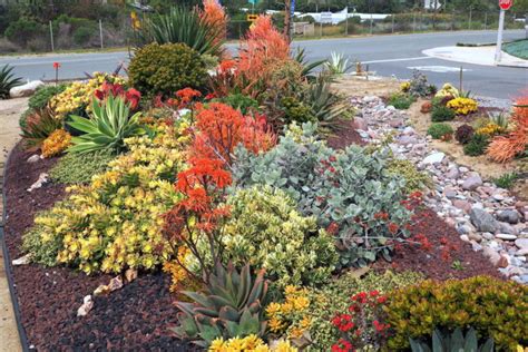 A Colorful Succulent Garden To Copy Debra Lee Baldwin