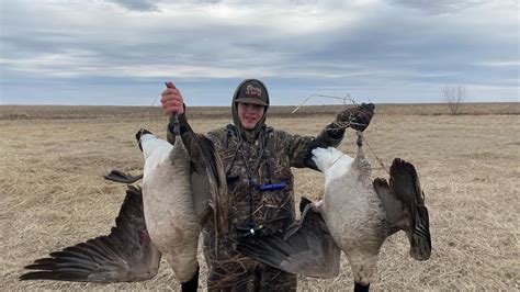 Late Season Goose Hunting With 3 Man Limit 2 Banded Geese Youtube