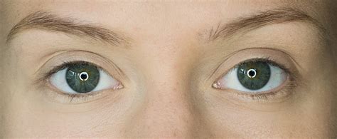 Makijaż paletką Naked Urban Decay dla zielonookich PolskieSzafiarki