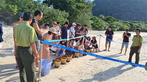 Bay Canh Island Tour in Con Dao, Snorkeling and Turtle Releasing ...