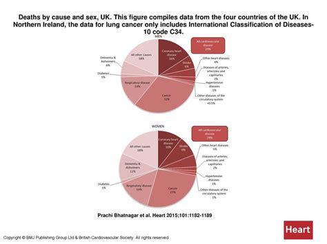 Deaths By Cause And Sex Uk Ppt Download