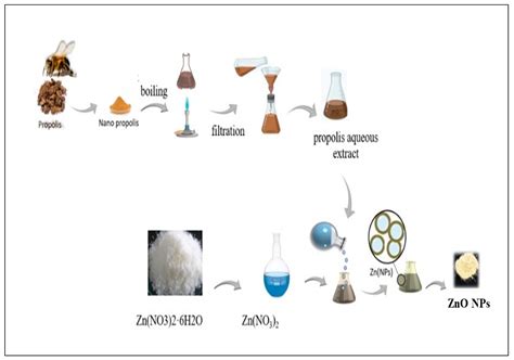 J Compos Sci Free Full Text Nano Propolis Zinc Oxide