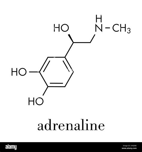 Adrenaline (adrenalin, epinephrine) neurotransmitter molecule. Used as ...