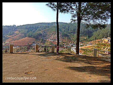life  liya  zain ooty trip  tea factory