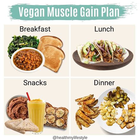 Weight Gain Meal Plan Vegan at Wendy Craig blog