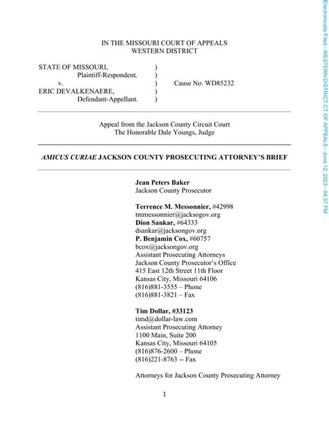 Conditionally Filed Amicus Brief Pdf Docdroid