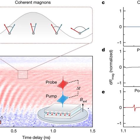 Exciton Photon Coupling In Crsbr Cavities A Schematic Illustrating Two