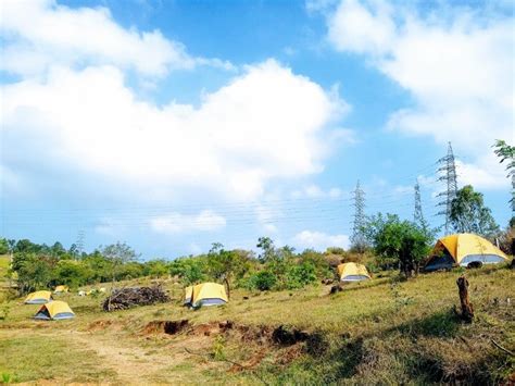 Wilderness Jungle Camp