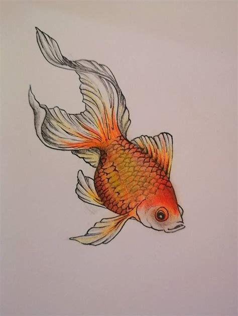 How To Draw A Fish Sketch A Day