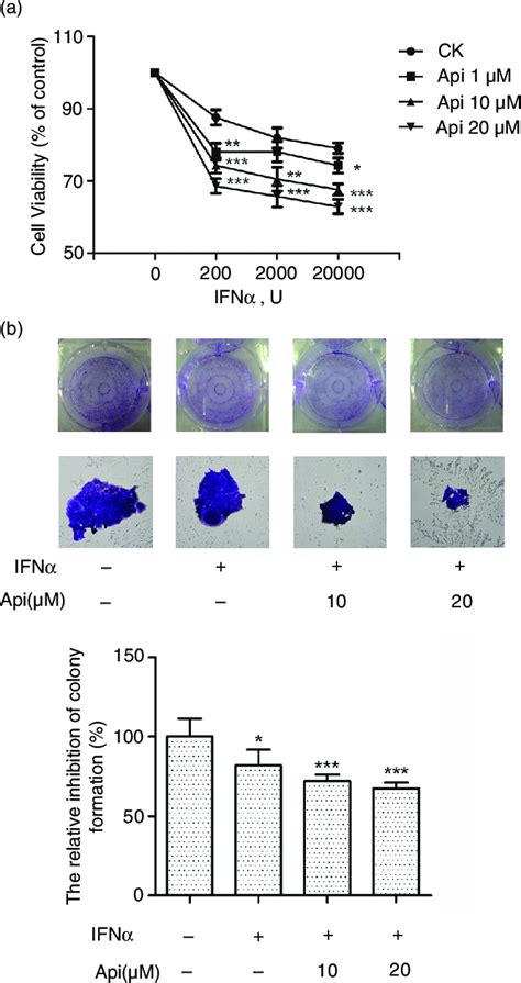 Apigenin Potentiates The Inhibitory Effect Of IFN A On Cancer Cell