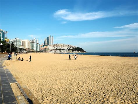 haeundae beach busan  muddling  life