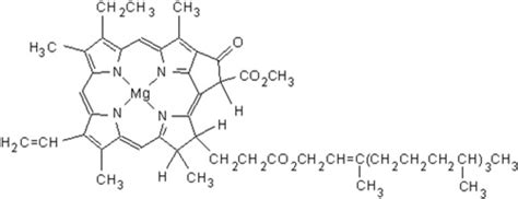 Chlorophyll Diagram