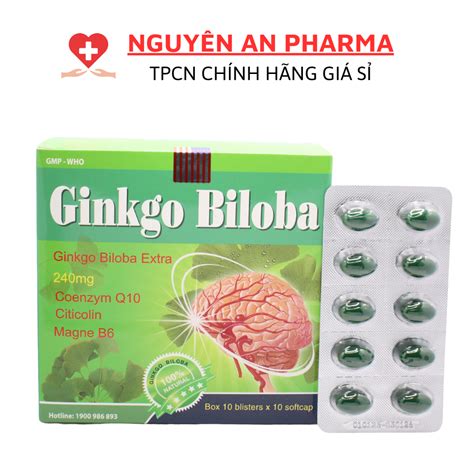 Ginkgo BILOBA Brain Nourishing Active Blood Helps Increase Brain