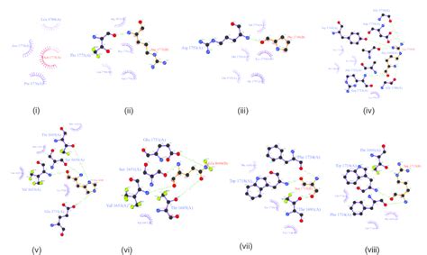 Schematic Representations Of Weak Intramolecular Interactions Between