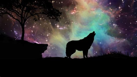 Halloween Wolf Wallpapers Wallpaper Cave