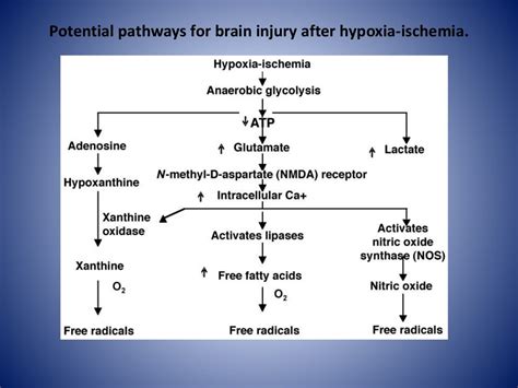 Hypoxic ischemic encephalopathy