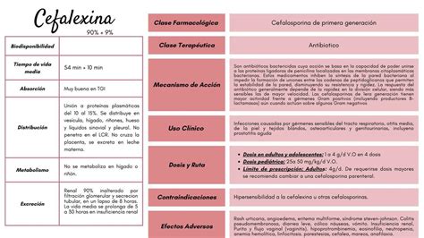 Ciprofloxacino E Cefalexina É A Mesma Coisa - Cefalexina | MARYURI LISBETH | uDocz