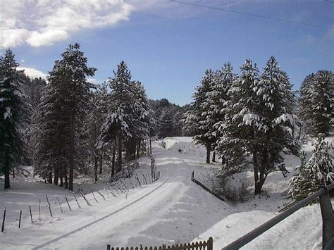 Sila National Park In Winter Calabria Italy Visititaly Info