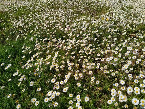 Cities of the future, green cities? Fight against global warming