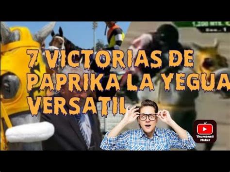 Conoce La Verdad Sobre La Vers Til E Inbatible Yegua Paprika Youtube