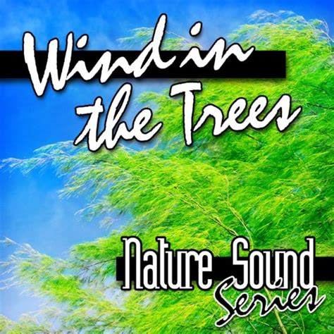 Amazon.com: Wind in the Trees (Nature Sounds) : Nature Sound Series ...