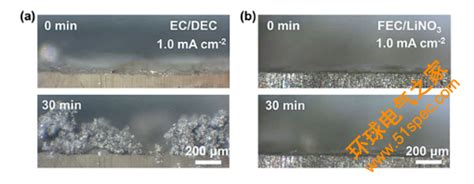 清华大学张强angew Chem Int Ed：调控锂离子溶剂化层，增强锂金属电池稳定性环球电气之家