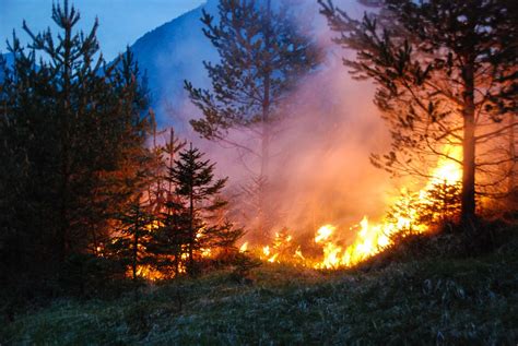 Landesweite Warnung Waldbrandgefahr Innsbruck