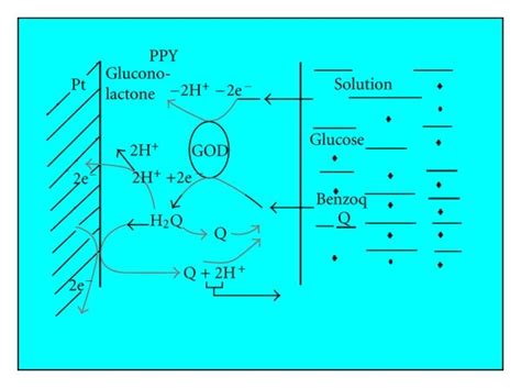 Schematic Diagram Of The Electrocatalytic Oxidation Of Glucose At A God