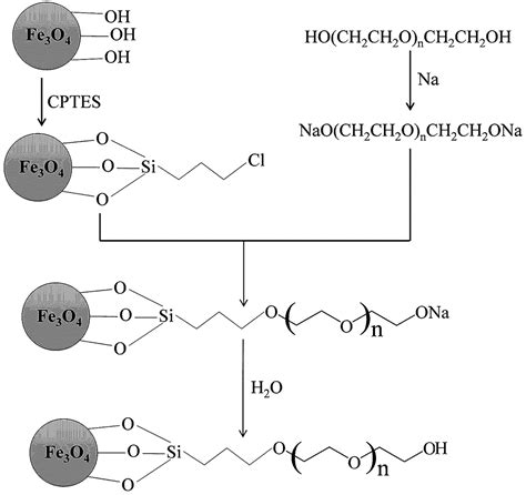 聚乙二醇功能化的Fe3O4纳米粒子选择性分离富集Au III 的方法与流程