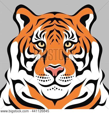 Tiger Head Outline Vector Photo Free Trial Bigstock