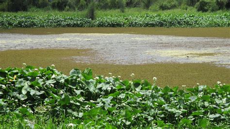 Ambiente Avanza En El Proceso De Diálogo Para El Proyecto De Ley De