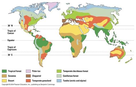 Ecosystems And Biomes Flashcards Quizlet