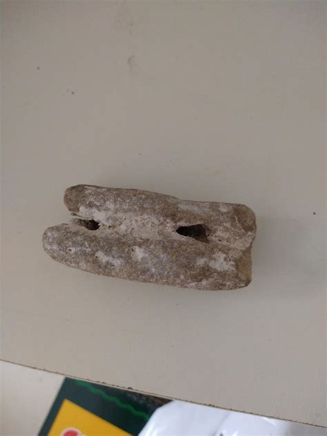 Is This Fossilized Poop? : r/fossilid