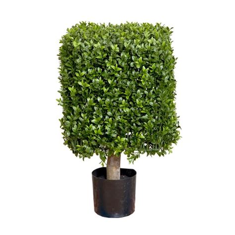 55cm Artificial Square Top Boxwood Plant Temple And Webster