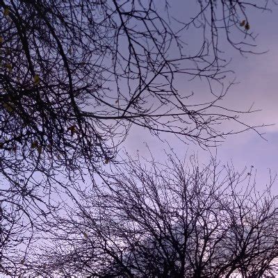 Downblousebabes On Twitter Down Her Leopard Bikini Downblouse My XXX