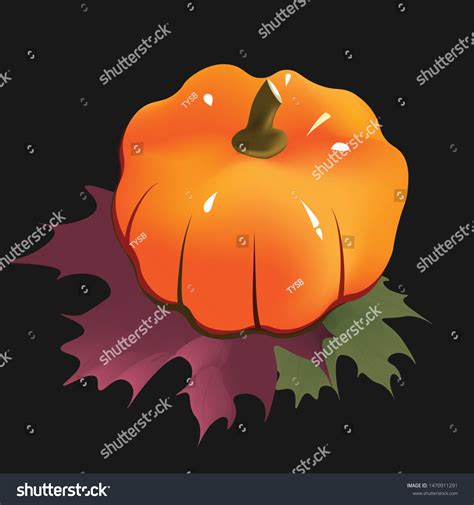 Top View Vector Single Pumpkin Vegetable Stock Vector Royalty Free