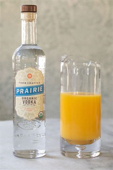 Vodka and Orange Juice Cocktail -Screwdriver - Sugar and Charm