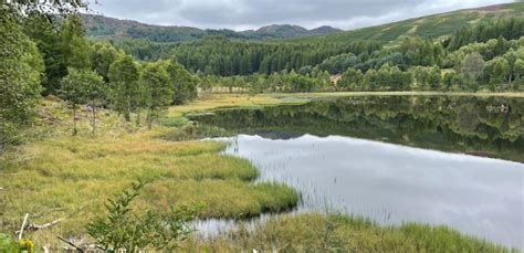 Habitat and Species - Spey Catchment Initiative