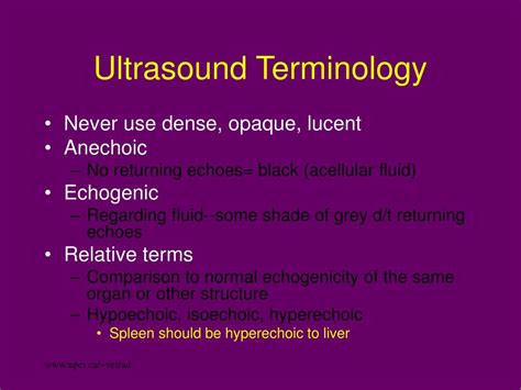 Ppt Ultrasonography Powerpoint Presentation Free Download Id623027