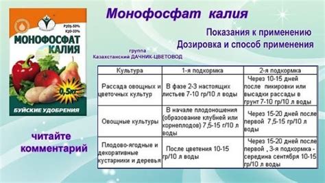 Монофосфат калия: инструкция по применению, состав удобрения