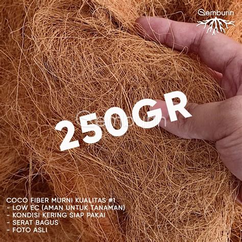 Jual Coco Fiber Cocofiber Gr Kering Murah Organik Sabut Kelapa