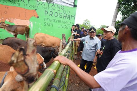 Inseminasi Buatan Jadi Harapan Baru Peternak Bulukumba Untuk Tingkatkan