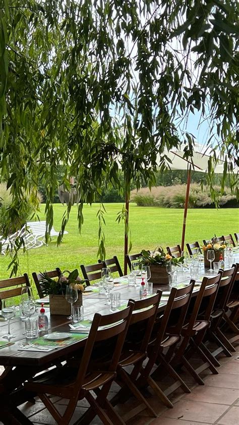 Sturla Viajes Caminata Guiada Y Almuerzo Isla El Descanso Arte