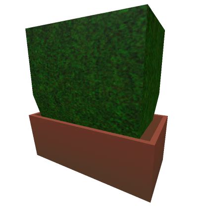 Big Bush Roblox Item Rolimon S